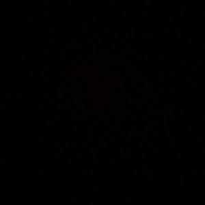 Meet your Posher, Raquel